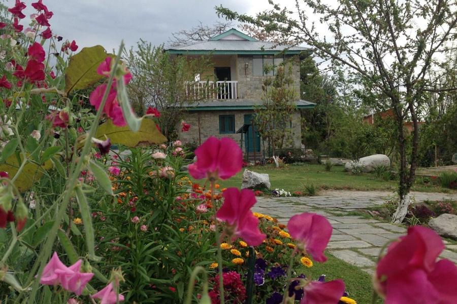 Nagri Resort Pālampur Zewnętrze zdjęcie