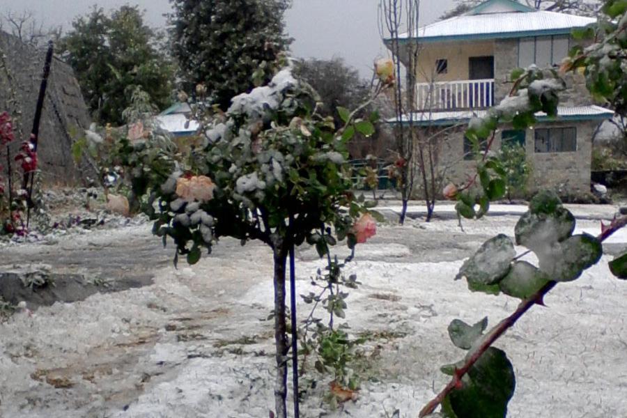 Nagri Resort Pālampur Zewnętrze zdjęcie