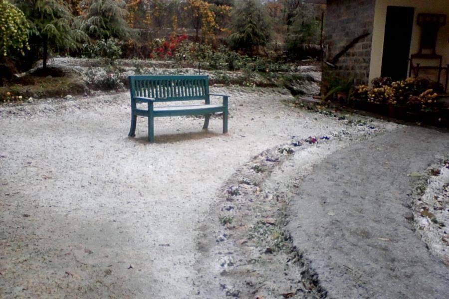Nagri Resort Pālampur Zewnętrze zdjęcie