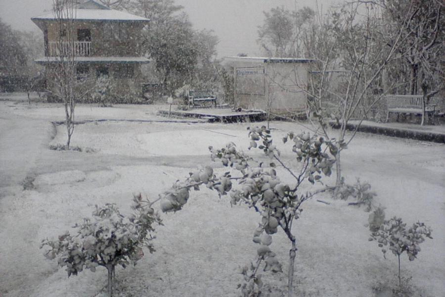 Nagri Resort Pālampur Zewnętrze zdjęcie