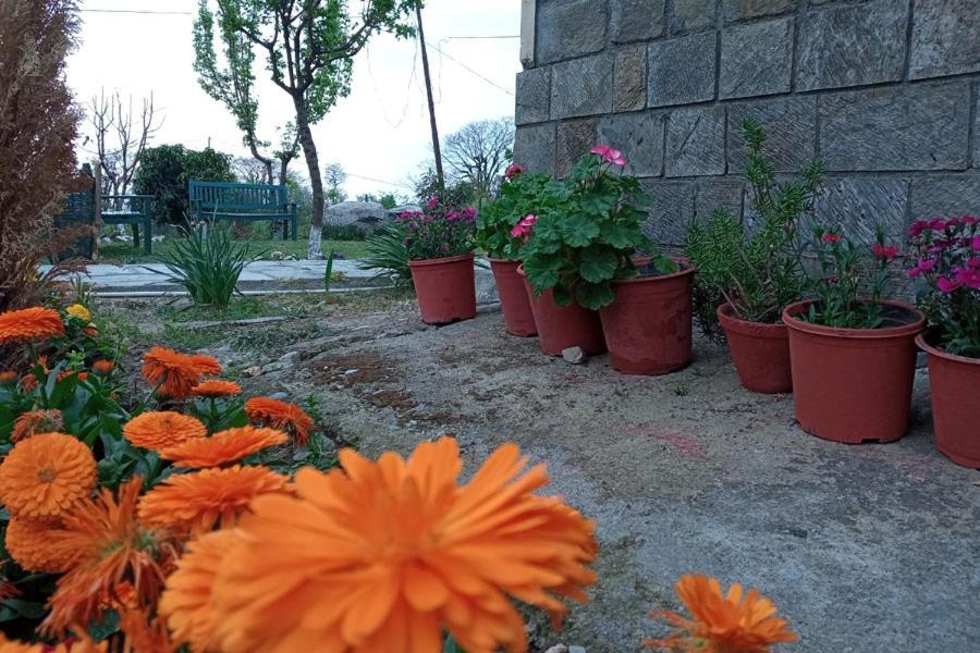 Nagri Resort Pālampur Zewnętrze zdjęcie