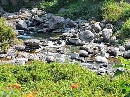 Nagri Resort Pālampur Zewnętrze zdjęcie